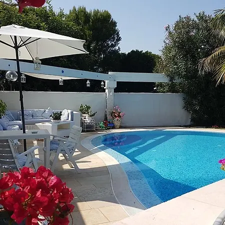 Rosamarina * Rosa Marina