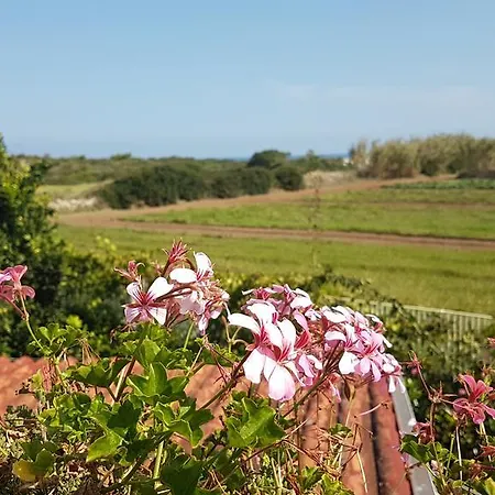Rosamarina Holiday home *