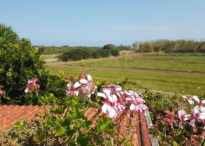 Rosamarina Casa vacanze *